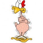 galo